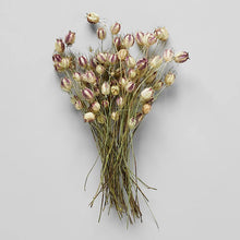 Load image into Gallery viewer, Dried Nigella Pods - Live Beautiful Home