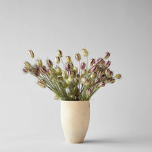 Load image into Gallery viewer, Dried Nigella Pods - Live Beautiful Home