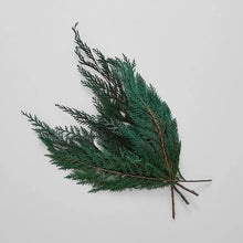 Load image into Gallery viewer, Preserved Cedar | Grande 36" - Live Beautiful Home