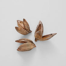 Load image into Gallery viewer, Natural Sora Pods - Live Beautiful Home

