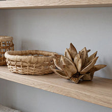 Load image into Gallery viewer, Dried Bleached Star Pod - Live Beautiful Home
