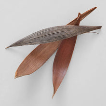 Load image into Gallery viewer, Brown Palm Paddles - Live Beautiful Home
