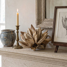 Load image into Gallery viewer, Dried Bleached Star Pod - Live Beautiful Home
