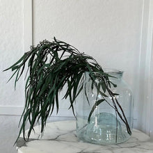 Load image into Gallery viewer, Preserved Seeded Feathered Willow - Live Beautiful Home
