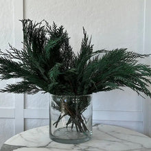 Load image into Gallery viewer, Preserved Cedar | Grande 36" - Live Beautiful Home
