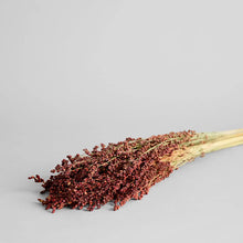 Load image into Gallery viewer, Dried Red Broom Corn - Live Beautiful Home
