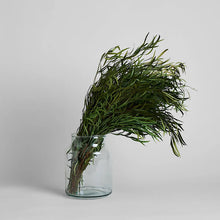 Load image into Gallery viewer, Preserved Seeded Feathered Willow - Live Beautiful Home
